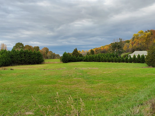 Book a Creative Retreat for 8 Guests in Sweetwater, Tennessee